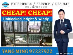 Blk 191 Bukit Batok West Avenue 6 (Bukit Batok), HDB 5 Rooms #136199702